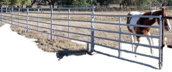 Des pièces de reproduction pour animaux d'élevage et d'élevage à prix abordable avec des procédures de contrôle strictes